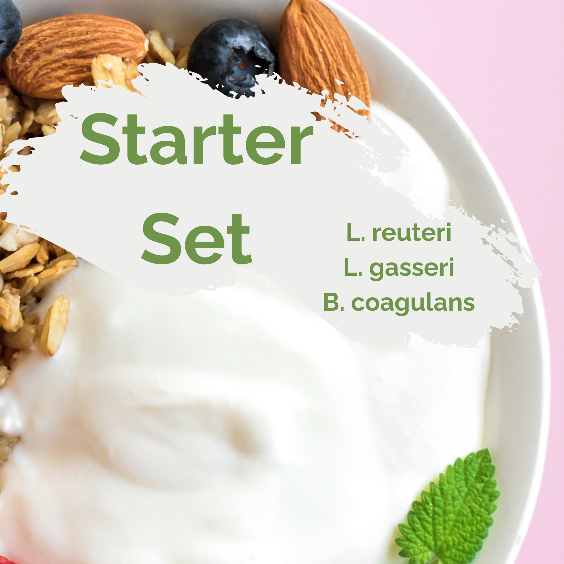 Starter-Set "SIBO" | L. reuteri, L. gasseri, B. coagulans-Joghurt | SIBO-Joghurt