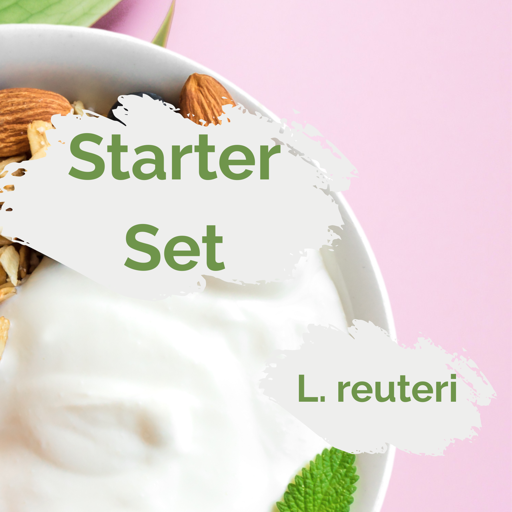 Starter-Set L. reuteri-Joghurt