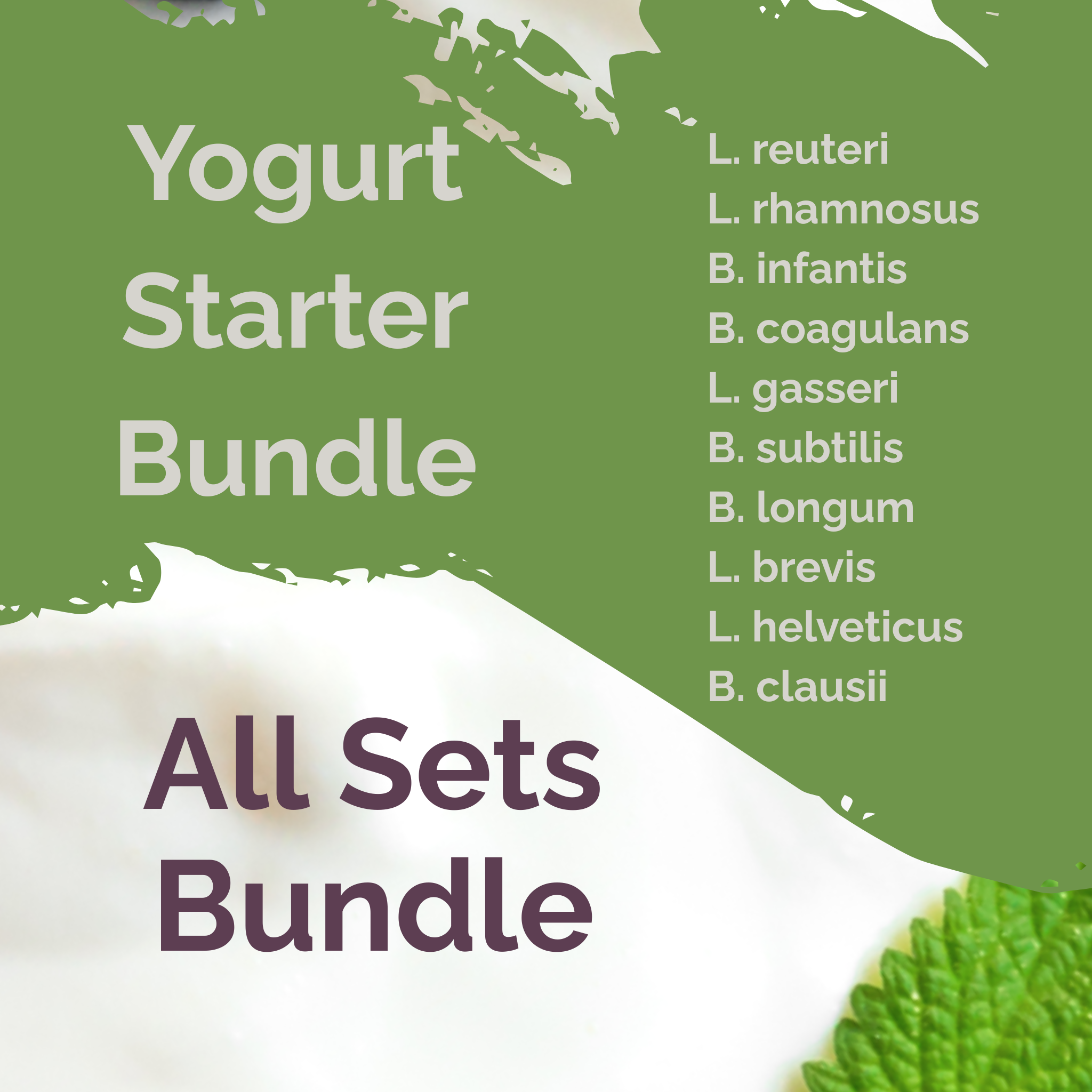L. reuteri + L. rhamnosus + B. infantis + B. coagulans + L. gasseri + B. subtilis + B. longum + L. brevis + L. helveticus + B. clausii | All Sets Bundle | Joghurt-Starter-Bundle | 3er-Set-Packung