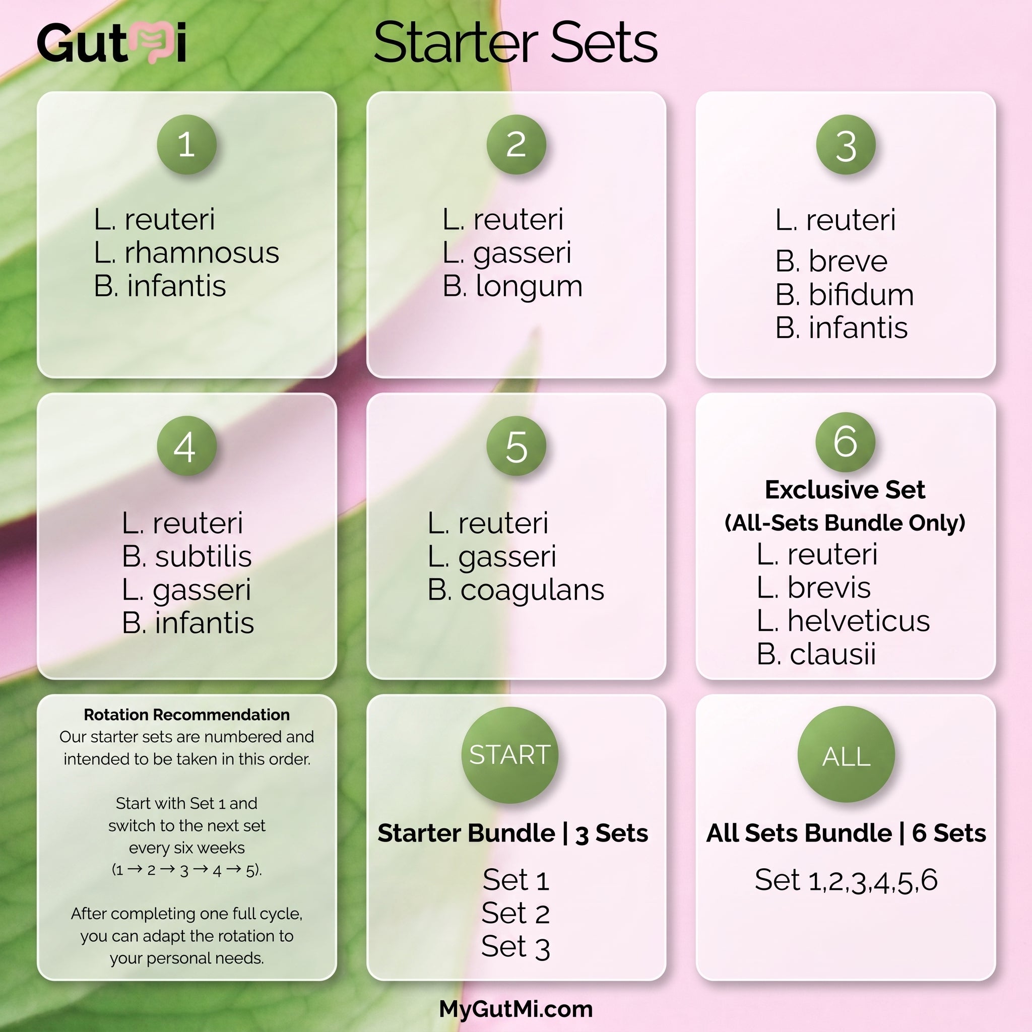 L. reuteri + B. coagulans + L. gasseri | SIBO | Joghurt-Starter-Set | Starterkulturen | 3 Joghurtstarter